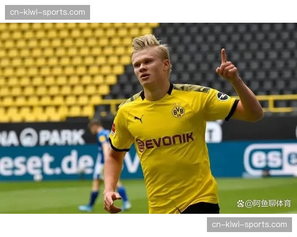 哈兰德世界杯首秀引期待 挪威晋级前景影响球星亮相